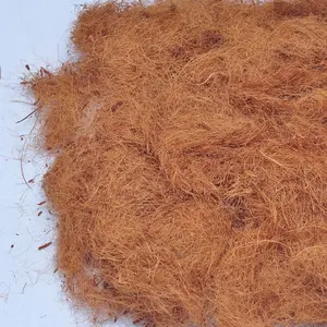 Fibra de fibra de coco de Sr Lanka