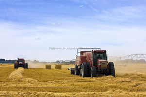 Granulés de paille de blé Halmeko, qualité alimentaire pour animaux, avec farine de maïs, modèle mélange blé-maïs - Product Image 3