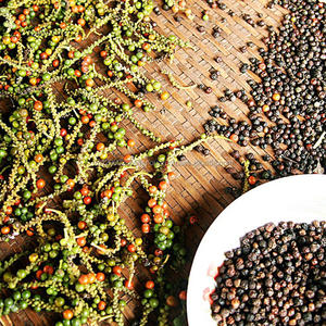 BAYAS LIGERAS PIMIENTA NEGRA 300GL Seco AD Crudo PRECIO BARATO ESPECIAS DE EXPORTACIÓN SUPERIOR De VIETNAM MRS JENIFER VILACONIC - Product Image 1