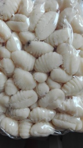 Pâtes GNOCCHI mini en forme spéciale fabriquées en italie, doseur aux pommes de terre, étiquette privée, faible quantité minimale de commande, utilisation professionnelle, - Product Image 3