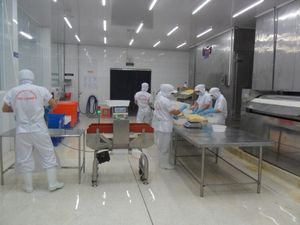 VIET ananas rétro professionnel sans ananas, frais, livraison gratuite - Product Image 4