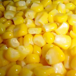 달콤한 노란색 옥수수/휴일 + 84-845-639-639