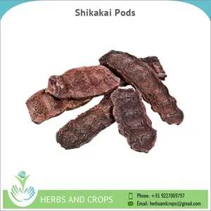 100% Natural and Organic Shikakai Pods