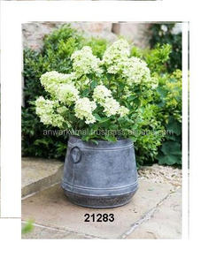ขายส่งกระถางดอกไม้สวนสังกะสีหรูหราแบบกําหนดเอง - Product Image 1