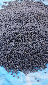 หินกรวดธรรมชาติขัดเงาสีดำ-MMArt MMA-2905 ของตกแต่งบ้านและสำนักงานแบบดั้งเดิม พร้อมการรับประกัน 5 ปีขึ้นไป - Product Image 6