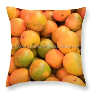 Naranjas Grandes Dulces Frescas/Naranjas Navel (Naranja Sin Semillas) - Product Image 1