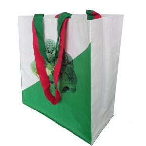 PP Woven Eco-friendly Shopping <b>Bag</b> with PP Webbing Handle Customizable Color & <b>Size</b> New - Product Image 1