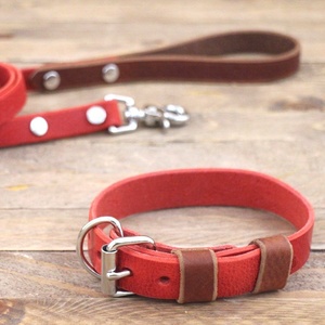 ปลอกคอสุนัขทำด้วยมือทำจากหนังพร้อมป้าย WDS-0147สำหรับสัตว์เลี้ยงสีทองทองเหลือง - Product Image 1