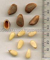 Nueces de Pecana Orgánicas de Primera Calidad en Oferta, Blanqueadas y Secas, Empaquetado a Granel, Origen Sudáfrica, Proveedores de Alta Demanda - Product Image 2