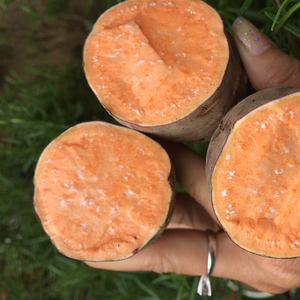 มันฝรั่งหวานธรรมชาติที่มีมาตรฐานการส่งออก - Product Image 4