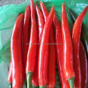 Cabe Merah Beku Kecil-Kualitas Tinggi-Harga Murah