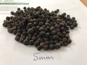 Poivre noir du Vietnam de qualité supérieure, nettoyé à la machine, stérilisé à la vapeur, épice pour assaisonnement alimentaire, exportation - Product Image 3