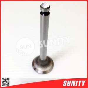 Remplacement de tracteur agricole personnalisé en acier inoxydable anti-usure TS50 TH3 104100-11110 pour soupape de moteur yanmar - Product Image 3