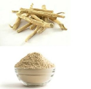 Polvo de extracto de Ashwagandha de alta calidad, estilo seco insípido DE LA India, suministrado en caja de embalaje - Product Image 2