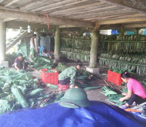 Hojas de Bambú de Alta Calidad, Grado de Exportación, de Vietnam - Product Image 2