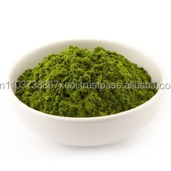POLVO DE PEPINO DESHIDRATADO AL POR MAYOR - Harina de Pepino Vietnamita Deshidratada OFERTA ESPECIAL - Product Image 3