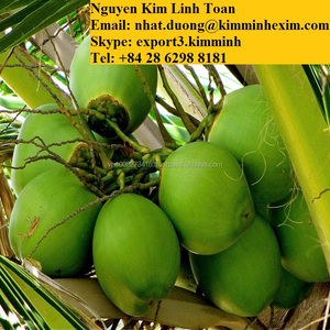 Yo-young — fruits en noix de coco verte, fruits tropicaux et nouveau style Tropical - Product Image 3