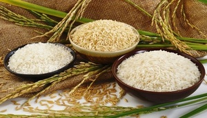 VIET NAM Arroz pegajoso/arroz glutinoso con cantidad a granel - Product Image 4