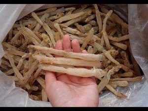 Producto de Agricultura de alimentos marinos Sipunculus Nudus seco 2024 - Product Image 3