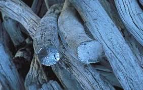 ถ่านขาว/ถ่านไม้โอ๊คขาว/ถ่านขาว - Product Image 2