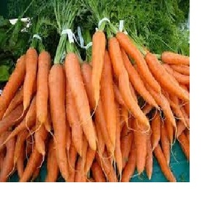 กล่องแพคเกจแครอทสดเวียดนาม - Product Image 1