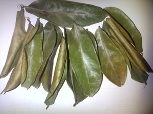 Guayaba 100% Seca al Aire - Product Image 3