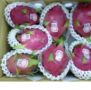 สดสีแดงสดผลไม้มังกร-ราคาที่ดีที่สุด2024 - Product Image 2