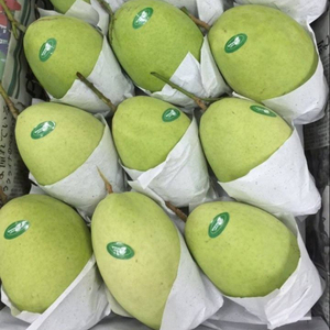 Mangga Segar VIETNAM Penawaran Kualitas Terbaik dari VIETNAM