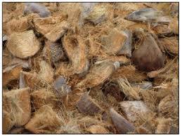 กะลามะพร้าวที่มีปริมาณมาก/วันหยุด - Product Image 3