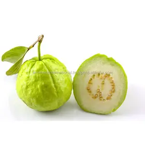 Organik çiftlik % 100% doğal Guava çekirdeği taşıyıcı yağı üreticisi ve tedarikçisi