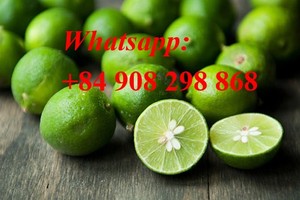 มะนาวสดออร์แกนิกจากผลไม้รสเปรี้ยวจากเวียดนาม - Product Image 5