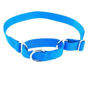 Manufacturer Customize <strong>Collar</strong> <strong>Dog</strong> Premium Nylon Martingale <strong>Dog</strong> <strong>Collar</strong> OEM - Product Image 5