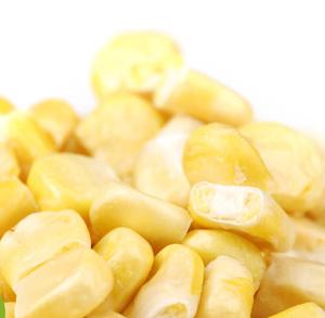 Grani <span class=keywords><strong>di</strong></span> Mais Giovani Essiccati Congelati, Gustosi e Commestibili, Semi <span class=keywords><strong>di</strong></span> Mais Disidratati per Alimenti - Product Image 5