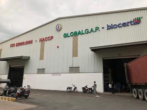 Love mart — riz au jasmin 5% cassé, qualité supérieure - Product Image 5