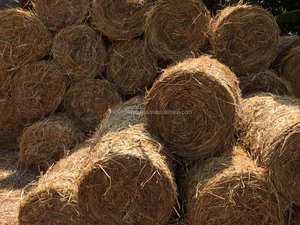 Wheat <b>Straw</b> Hay & Rice <b>Straw</b> From Vietnam for Horse & Cattle-Non-Admixed 14% Moisture <b>Bale</b> Packaging - Product Image 6