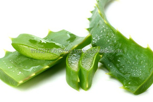 Folhas de <span class=keywords><strong>aloe</strong></span> <span class=keywords><strong>vera</strong></span> em pó Produto 100% <span class=keywords><strong>Natural</strong></span> da Tailândia - Product Image 2