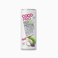 Eiwitrijk 250Ml Ingeblikt Kokoswater Met Sinaasappelsmaak Oem/Odm Service Gratis Monster Gratis Logo Ontwerp Goedkope Prijs