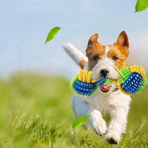 เชือกคอตตอนแบบผูกปมเป็นมิตรกับสิ่งแวดล้อมของเล่นสุนัขของเล่นแปรงสีฟันบดเล่นกัดผสมสี6ซม. * 18ซม. สัตว์เลี้ยง - Product Image 2