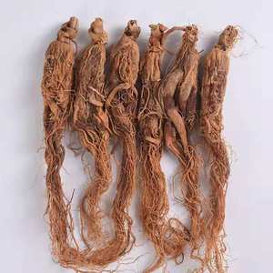 Preço Fábrica 20 Ginseng Norte Ouro Ginseng Vermelho Coreano Tônico - Product Image 4