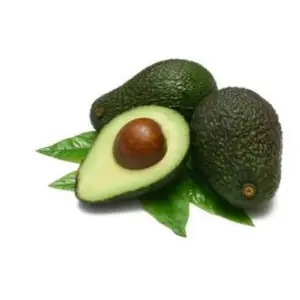 Manufacture Wholesale Price Natural Avocado Oil Exports for Hair Growth from India