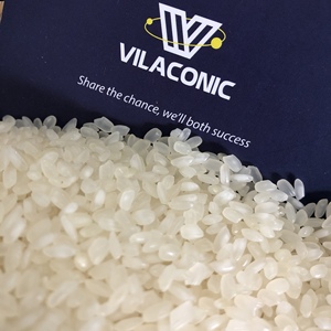 ข้าว CAMOLINO คุณภาพสูงราคาที่แข่งขันได้สำหรับการขาย - Product Image 2