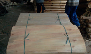 Tipos de Chapa de Madera de Eucalipto, Chapa de Madera Exterior de 1.7 mm, Chapa de Madera con Núcleo Económico - Product Image 3