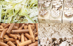 Produits frais Agriculture Déchets Inoffensif Canne à sucre Bagasse Pellet Making Pulp Produit - Product Image 6
