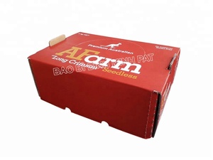 Caja de embalaje de uvas, impresión en Color de papel corrugado, logotipo del cliente, fruta, CMYK, alimentos - Product Image 5