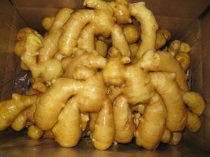 Jengibre Chino Fresco de Alta Calidad, Jengibre Viejo de 10 kg, Exportador para Uso Alimentario, Venta a Buen Precio - Product Image 3