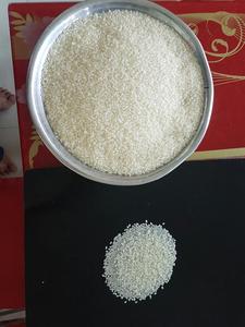 Riz Calrose égyptien certifié ce, ustensile de riz japonaise, camélia - Product Image 6
