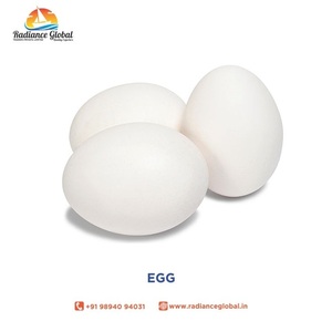 White Shell Eggs from India - Product Image 4