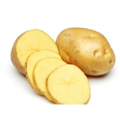 Di alta qualità Giallo Fresco Organico Nutrizione Vegetale di Patate