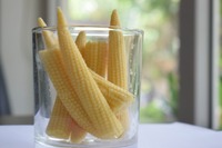 Maíz Fresco Premium para Bebés – Vegetales de Maíz Joven de Calidad de Exportación