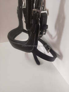 Bridon de cheval Pioneer, accessoires de cheval de qualité supérieure - Product Image 3